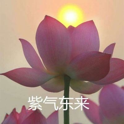 genshinImpact国际版官方下载